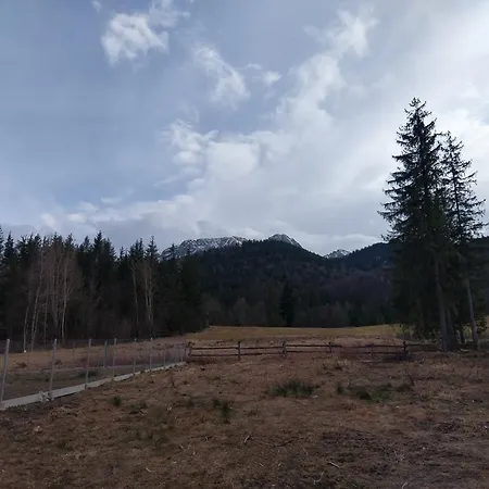 Apartamencik Z Widokiem Na Giewont 아파트 자코파네